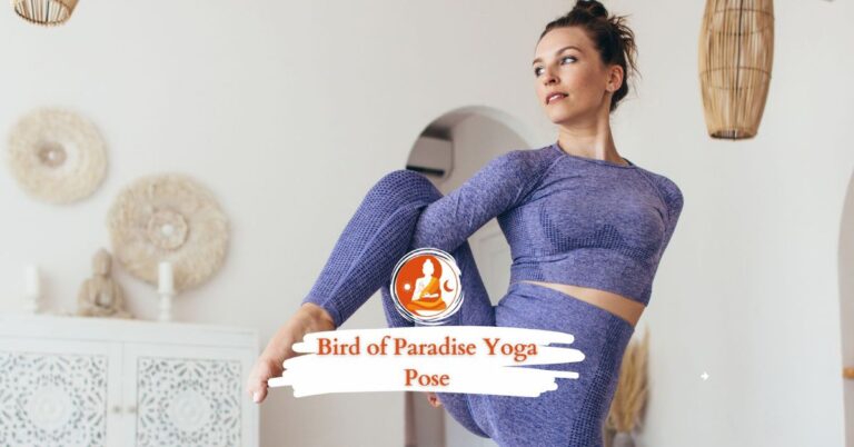 Bird of Paradise yoga pose