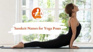 Sanskrit Names for Yoga Poses