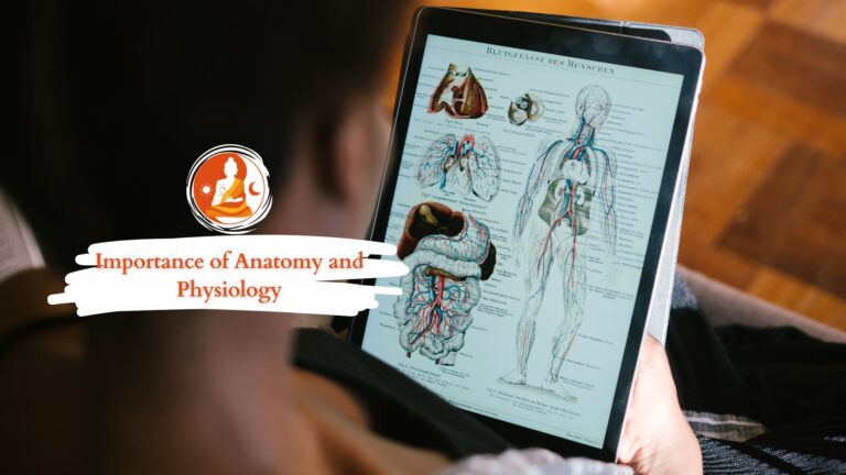 Importance of Anatomy and Physiology