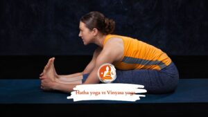 Hatha Yoga Vs Vinyasa Yoga